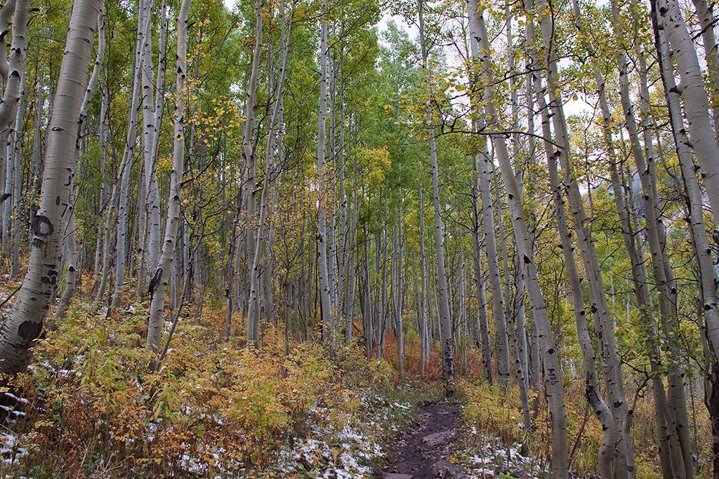 11_Maroon Bells_5.jpg